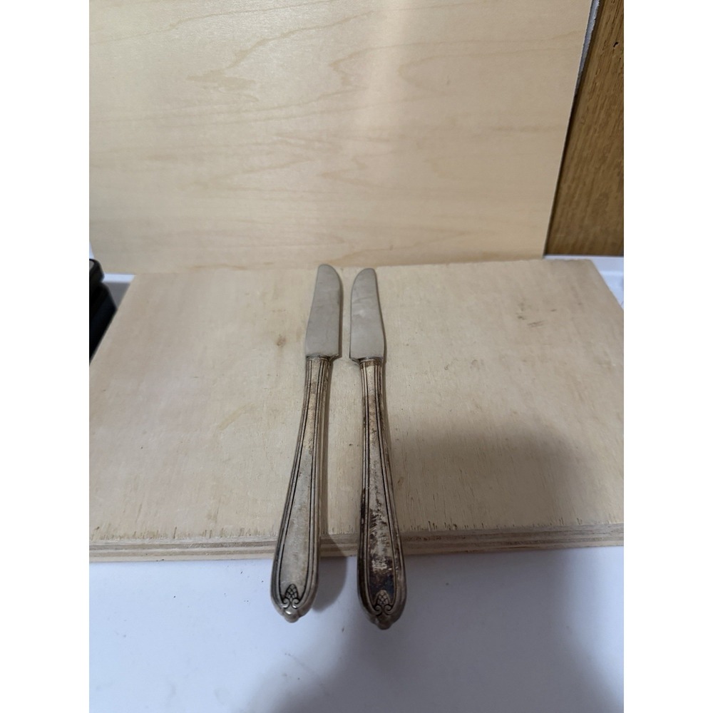 Stainless Steel Two Knives Vintage Acorn Pattern